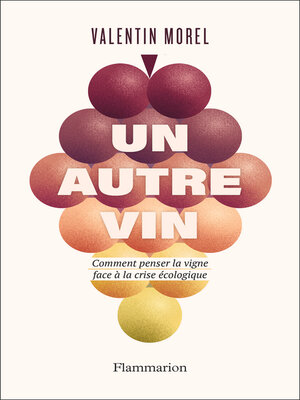 cover image of Un autre vin